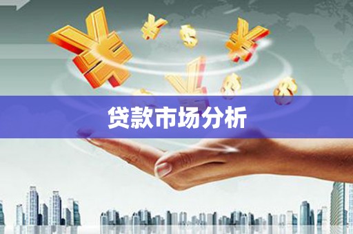杂多贷款市场分析
