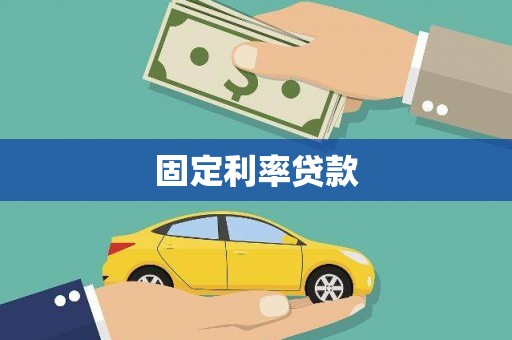 杂多固定利率贷款
