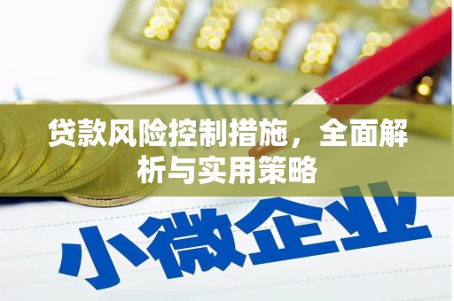 杂多贷款风险控制措施，全面解析与实用策略
