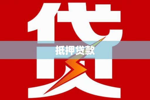 杂多抵押贷款