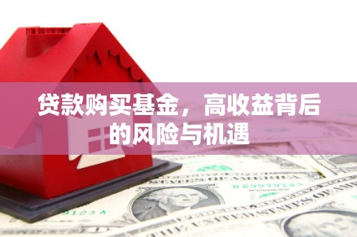 杂多贷款购买基金，高收益背后的风险与机遇