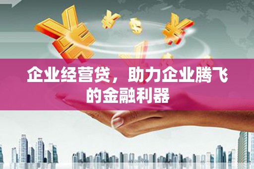 杂多企业经营贷，助力企业腾飞的金融利器