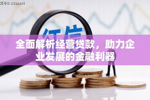 杂多全面解析经营贷款，助力企业发展的金融利器