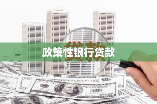 杂多政策性银行贷款
