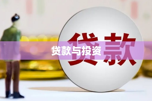 杂多贷款与投资