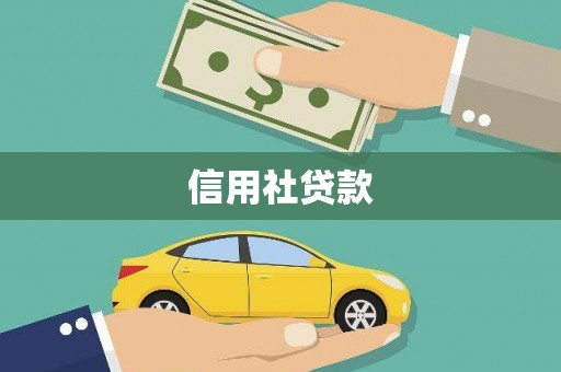 杂多信用社贷款