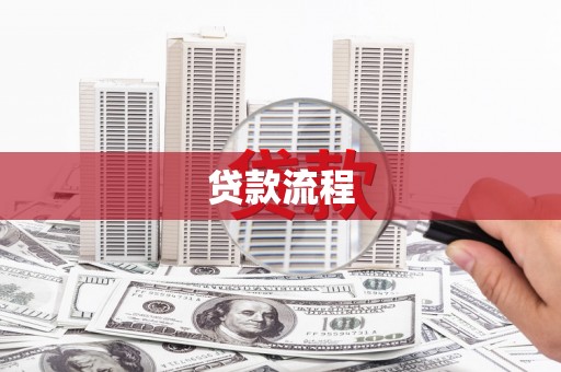杂多贷款流程