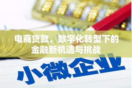 杂多电商贷款，数字化转型下的金融新机遇与挑战