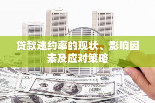 杂多贷款违约率的现状、影响因素及应对策略