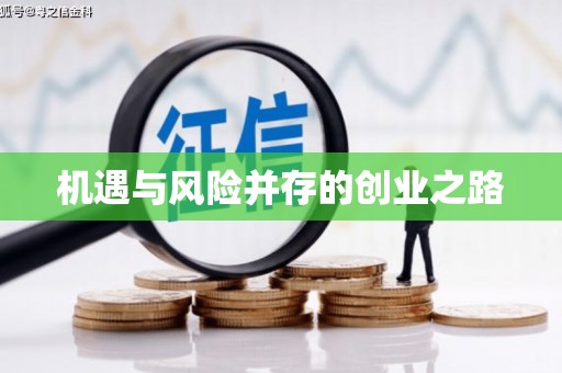 杂多机遇与风险并存的创业之路