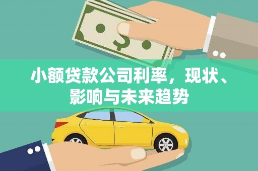 杂多小额贷款公司利率，现状、影响与未来趋势