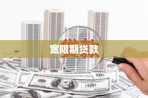 杂多宽限期贷款