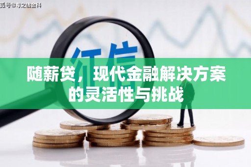 杂多随薪贷，现代金融解决方案的灵活性与挑战