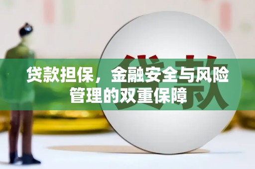 杂多贷款担保，金融安全与风险管理的双重保障
