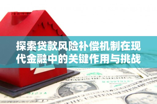 杂多探索贷款风险补偿机制在现代金融中的关键作用与挑战