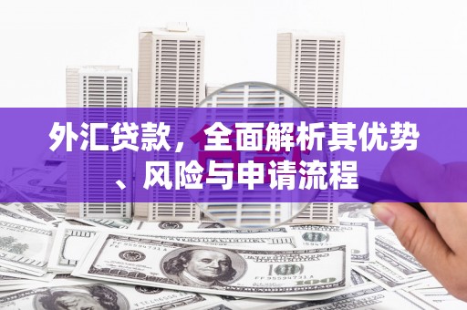 杂多外汇贷款，全面解析其优势、风险与申请流程