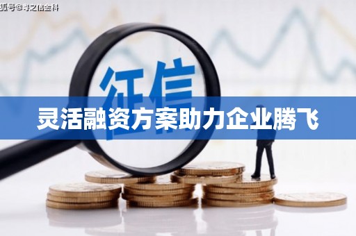 杂多灵活融资方案助力企业腾飞