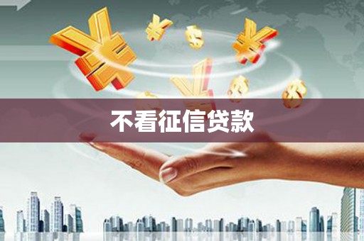 杂多不看征信贷款