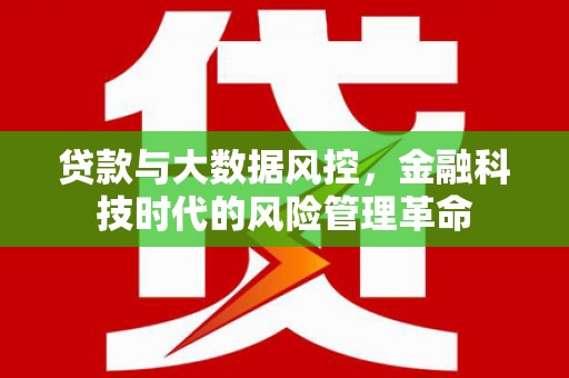 杂多贷款与大数据风控，金融科技时代的风险管理革命