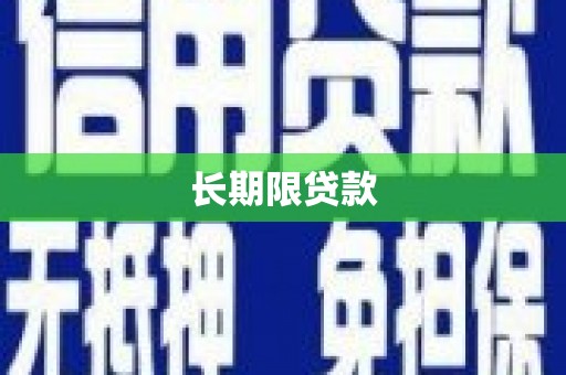 杂多长期限贷款