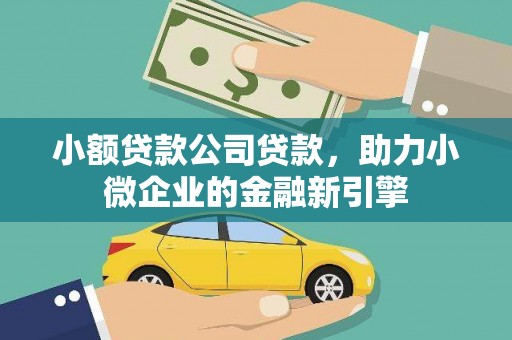 杂多小额贷款公司贷款，助力小微企业的金融新引擎