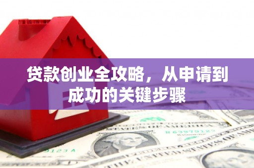 杂多贷款创业全攻略，从申请到成功的关键步骤