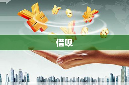 杂多借呗