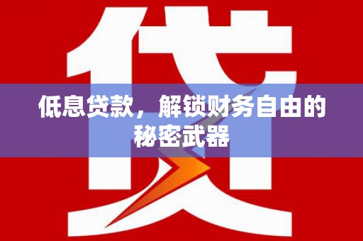杂多低息贷款，解锁财务自由的秘密武器