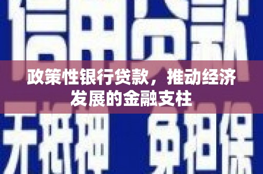 杂多政策性银行贷款，推动经济发展的金融支柱