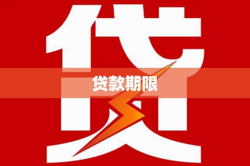 杂多贷款期限