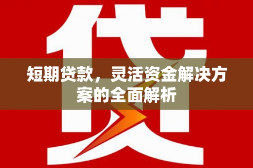 杂多短期贷款，灵活资金解决方案的全面解析