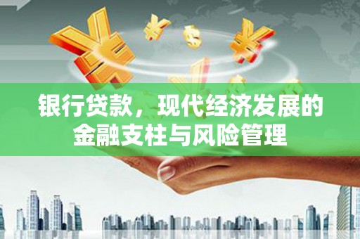 杂多银行贷款，现代经济发展的金融支柱与风险管理