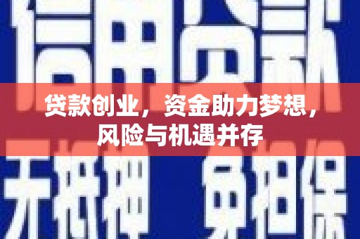 杂多贷款创业，资金助力梦想，风险与机遇并存