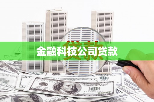 杂多金融科技公司贷款