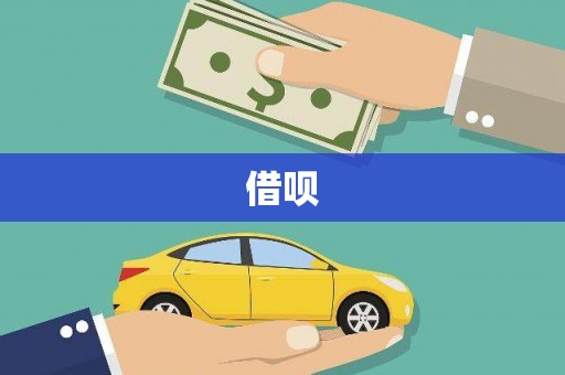 杂多借呗