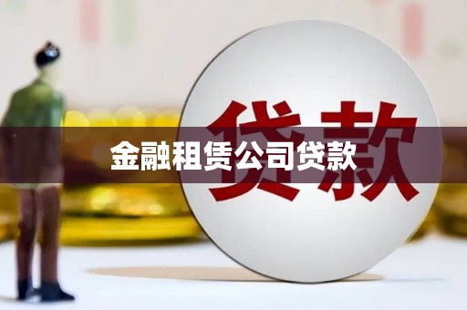 杂多金融租赁公司贷款
