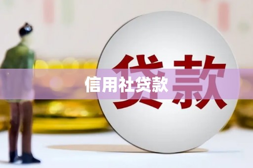 杂多信用社贷款