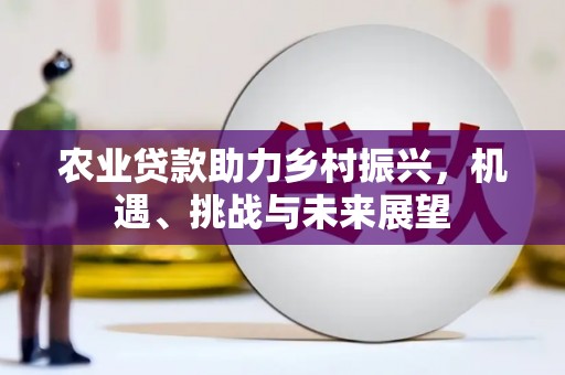 杂多农业贷款助力乡村振兴，机遇、挑战与未来展望