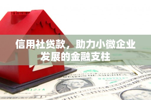 杂多信用社贷款，助力小微企业发展的金融支柱