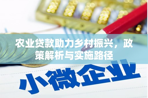杂多农业贷款助力乡村振兴，政策解析与实施路径