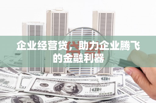 杂多企业经营贷，助力企业腾飞的金融利器