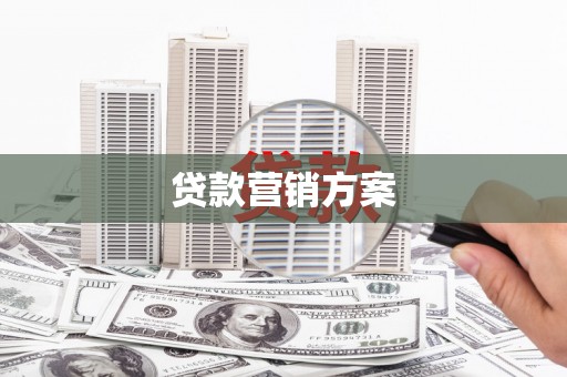 杂多贷款营销方案