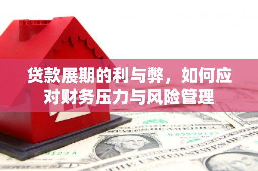 杂多贷款展期的利与弊，如何应对财务压力与风险管理