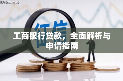 杂多工商银行贷款，全面解析与申请指南