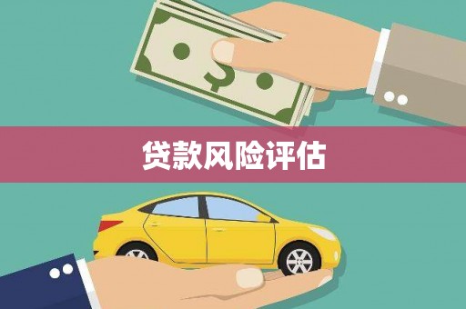 杂多贷款风险评估