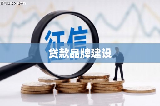 杂多贷款品牌建设