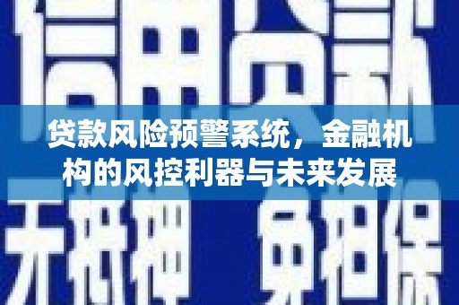 杂多贷款风险预警系统，金融机构的风控利器与未来发展