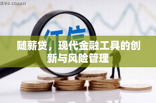 杂多随薪贷，现代金融工具的创新与风险管理