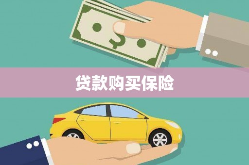 杂多贷款购买保险