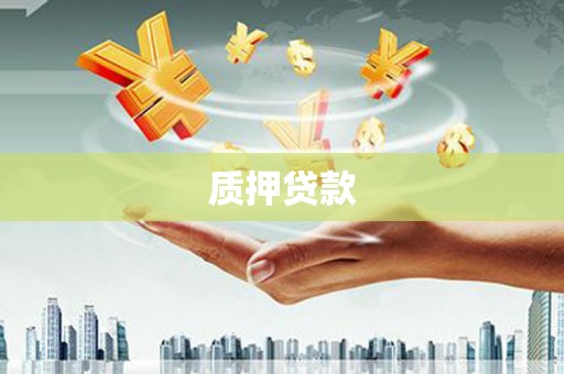 杂多质押贷款